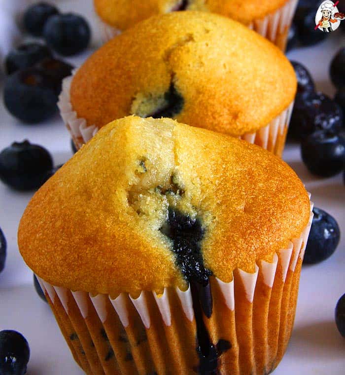 Egg-free Blueberry Muffins