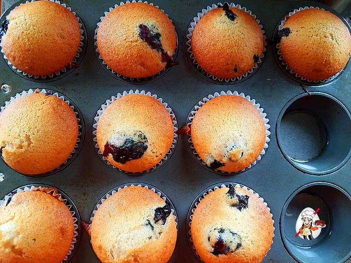 Fluffy Blueberry Muffins