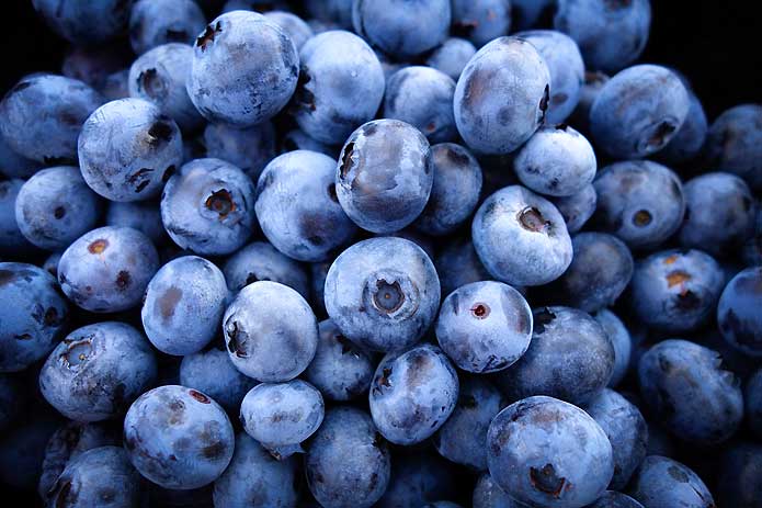 Blueberry Recipes