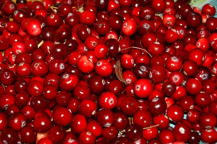 Cranberry Recipes