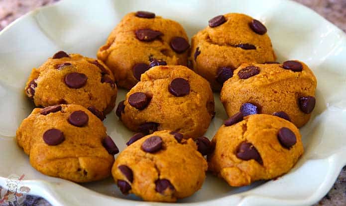 Vegan Chocolate Chip Pumpkin Cookies