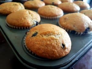 Blueberry Muffins Ready