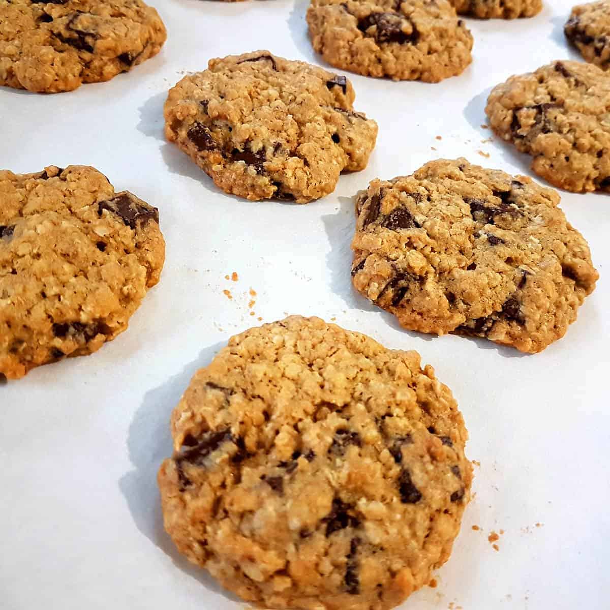 egg-free oatmeal chocolate chunk cookies