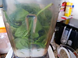 Blend spinach and milk