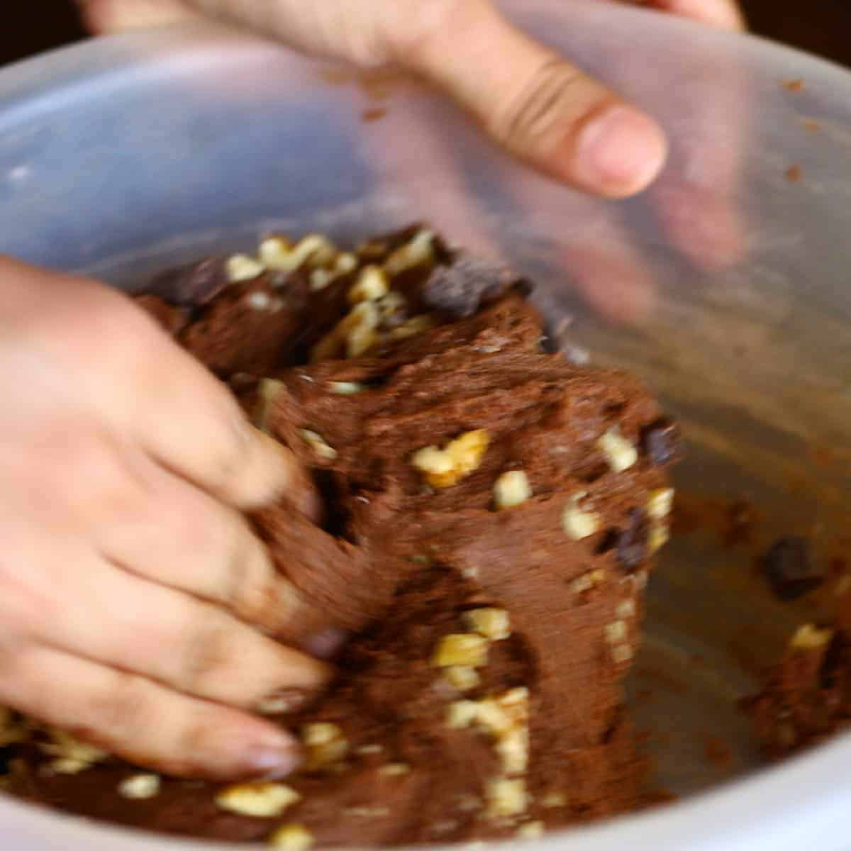 Vegan Double Chocolate Cookies Dough