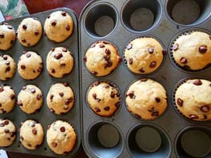 Greek Yogurt Chocolate Chip Muffins Ready