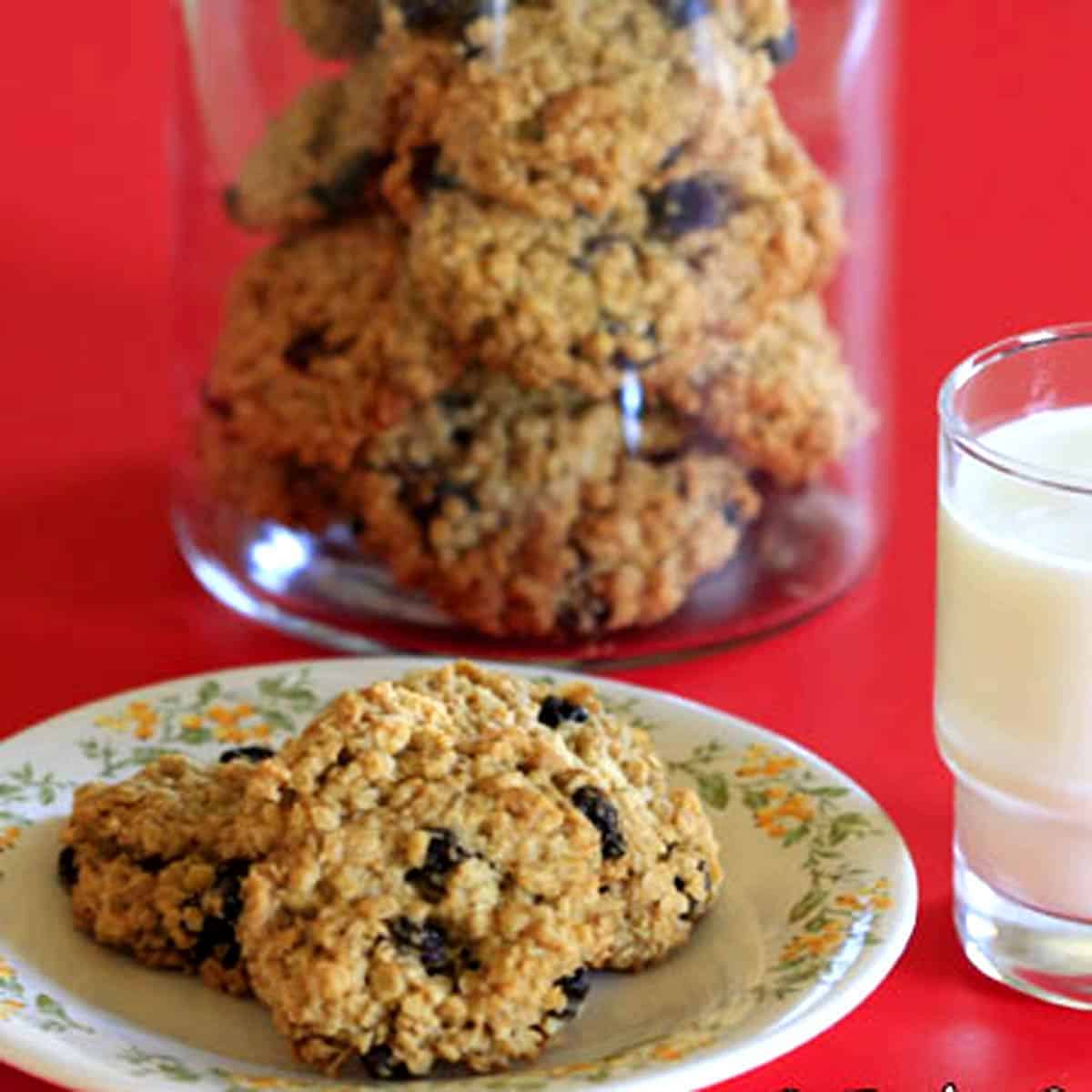 Vegan Oatmeal Raisin Cookies