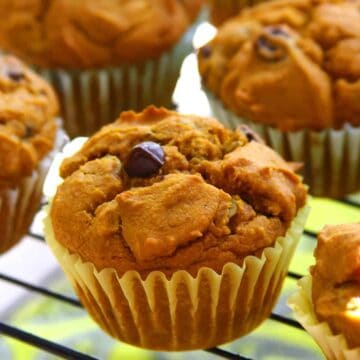 Vegan Pumpkin Chocolate Chip Muffins