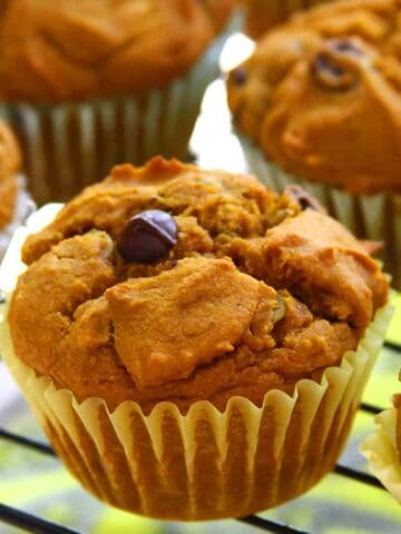 Vegan Pumpkin Chocolate Chip Muffins