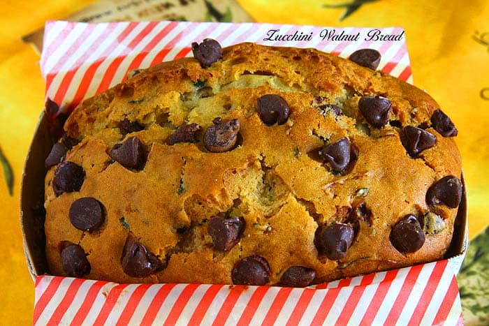 best zucchini walnut chocolate bread