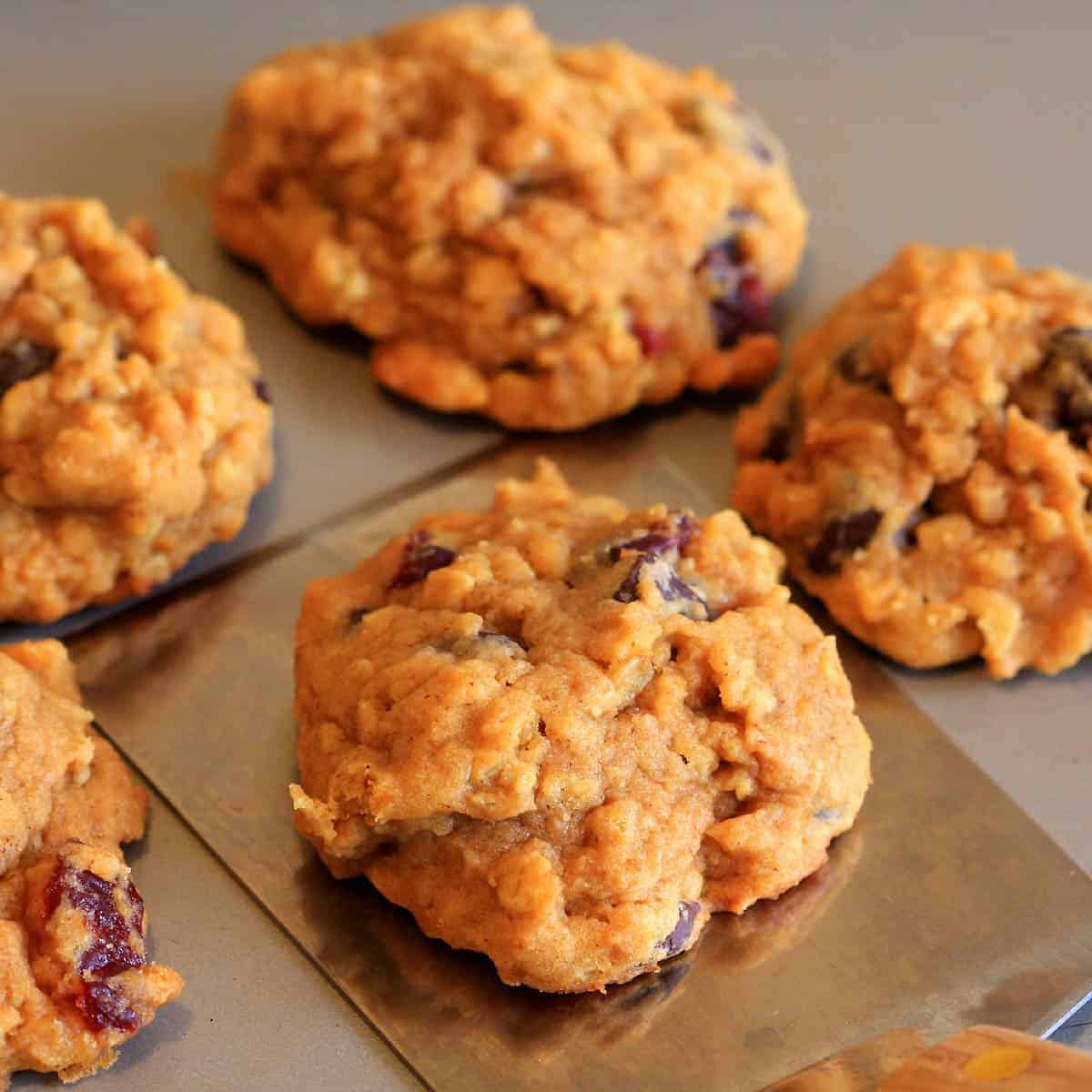 Chocolate chip pumpkin cookies