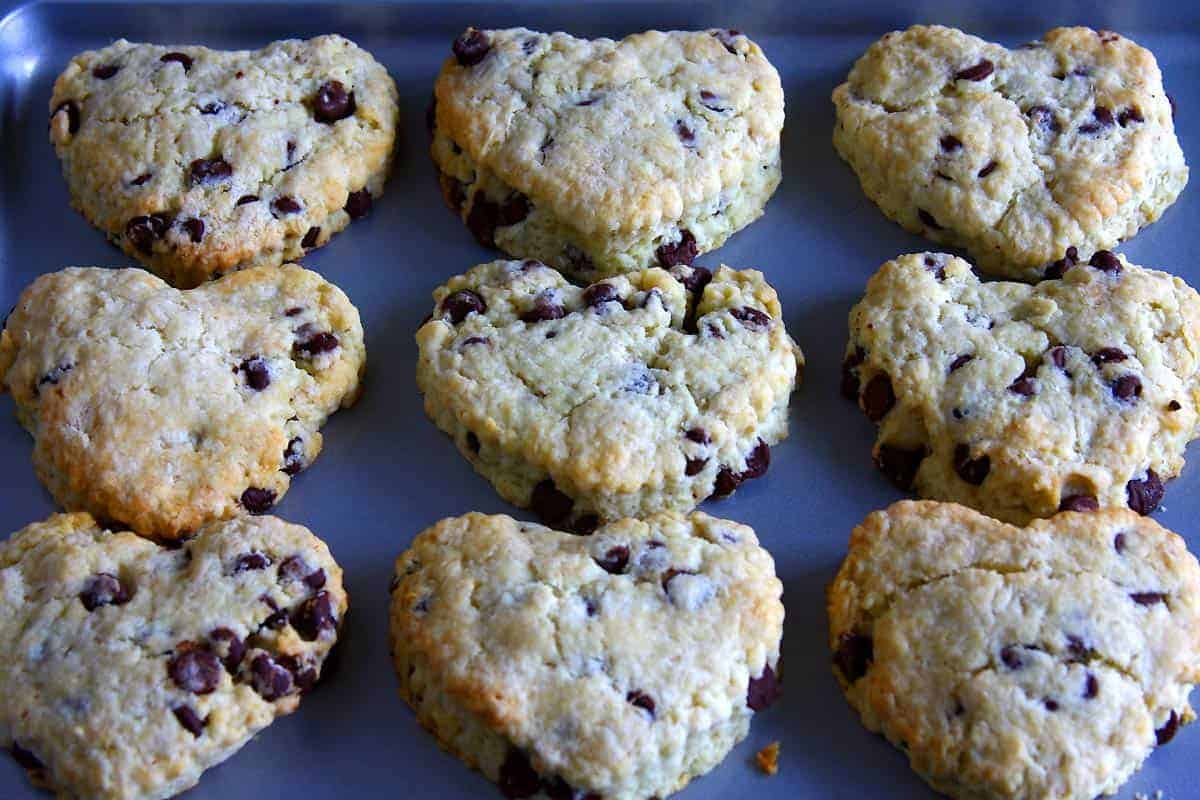 Chocolate Chip Scones fresh from the oven