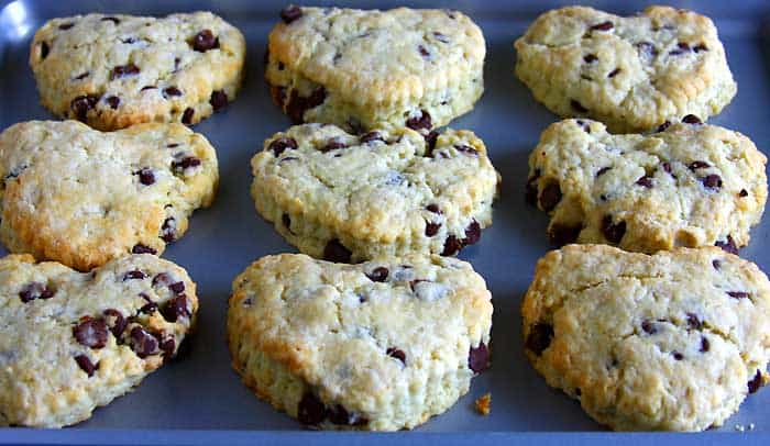 Chocolate Scones (Freshly Baked)