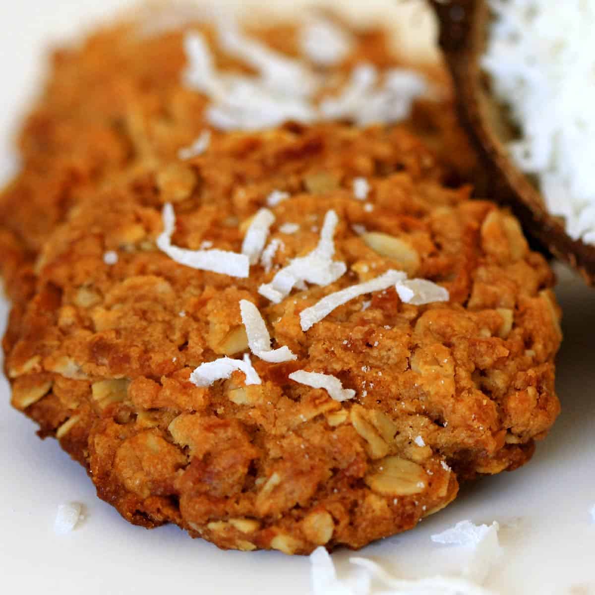 Coconut Oatmeal Cookies