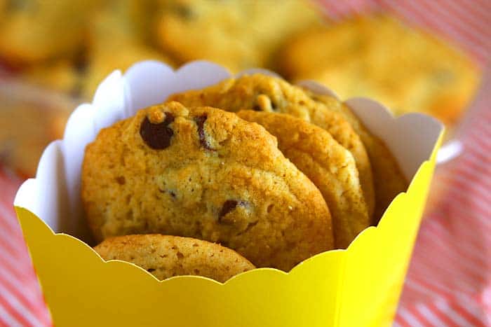 Egg Free Chocolate Chip Yogurt Cookies