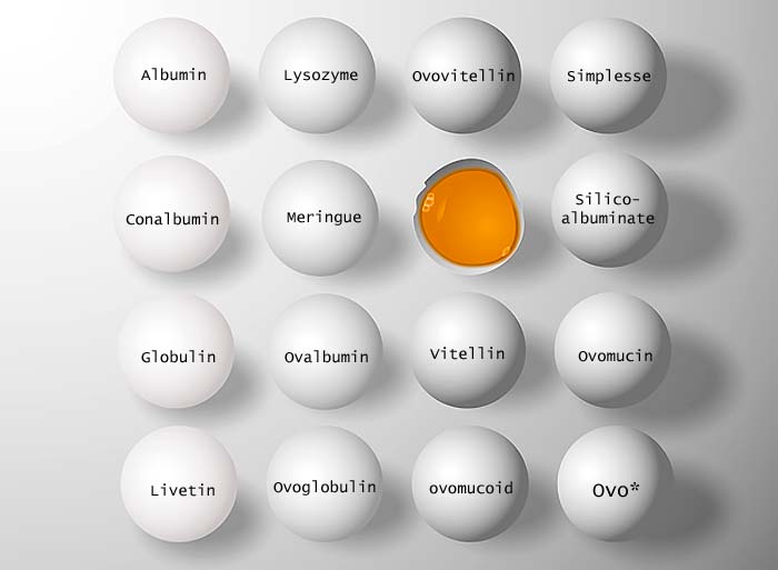 egg names