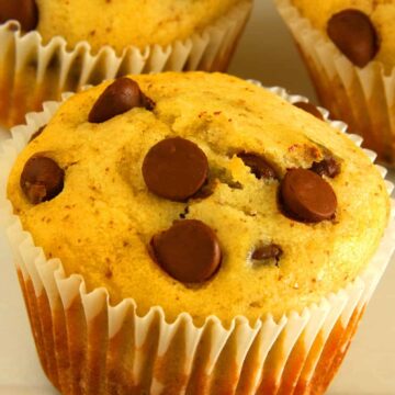 Greek Yogurt Chocolate Chip Muffins