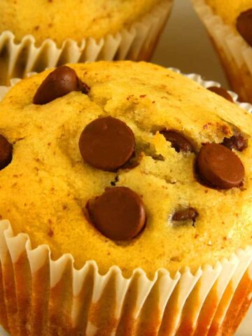 Greek Yogurt Chocolate Chip Muffins