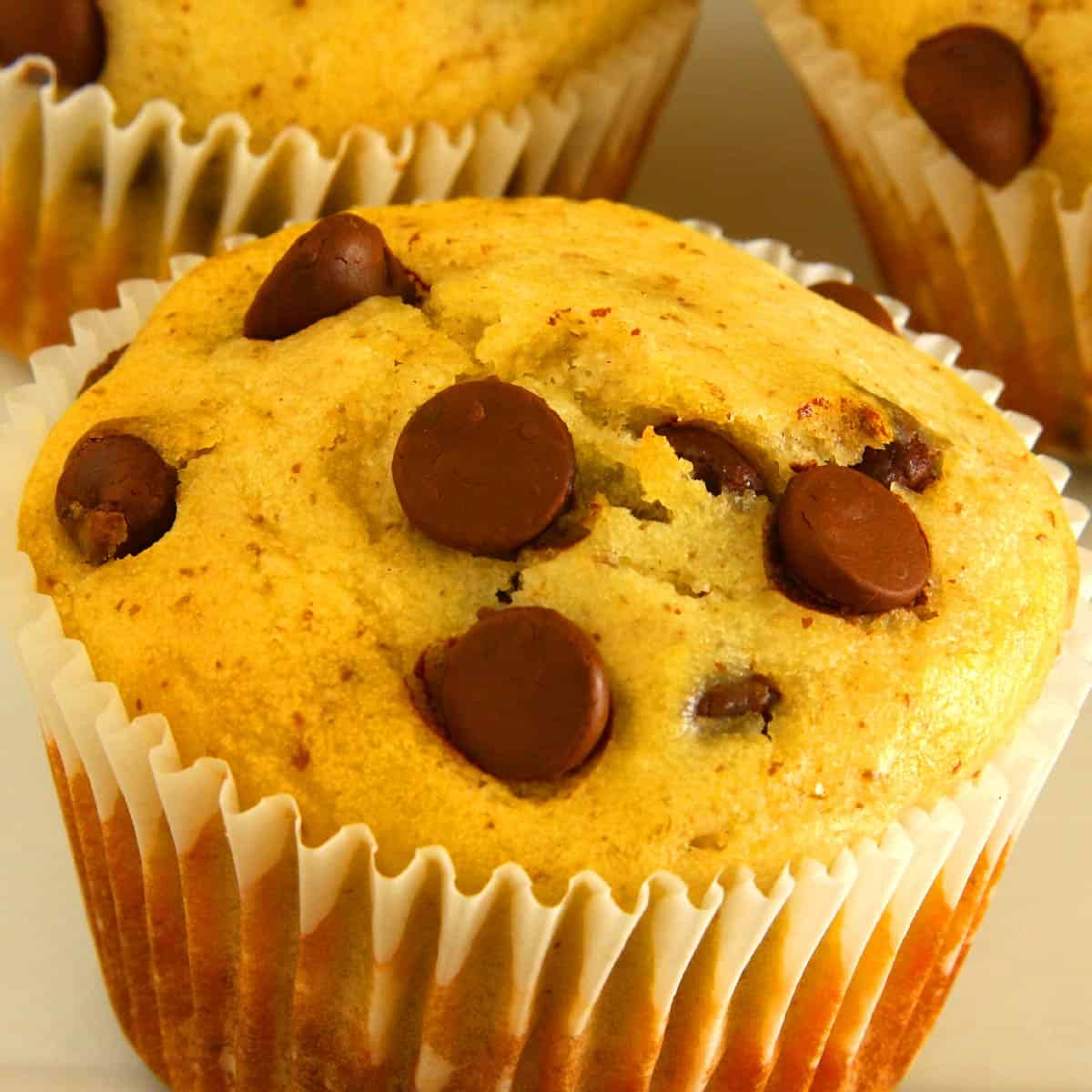 Greek Yogurt Chocolate Chip Muffins