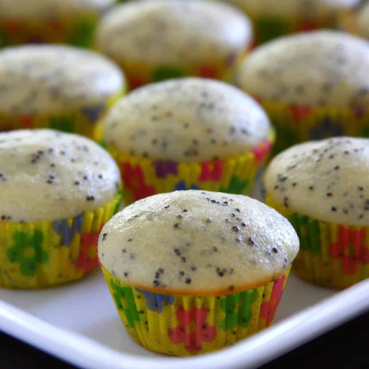 Lemon Poppy Seed Muffins in a tray