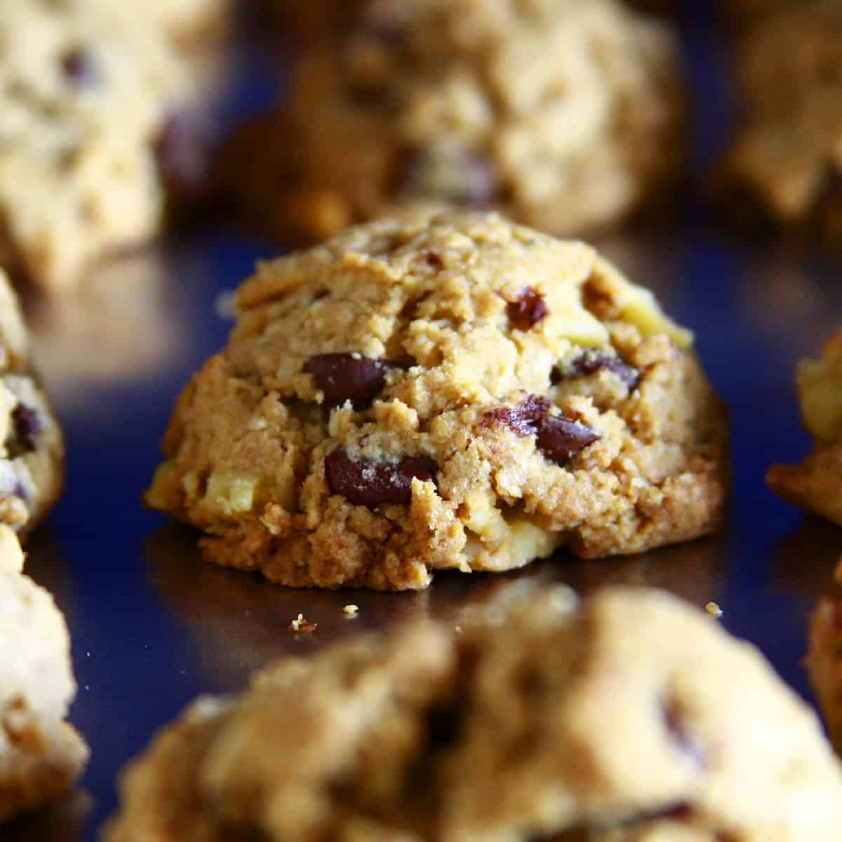 Oatmeal Chocolate Chip Cookies