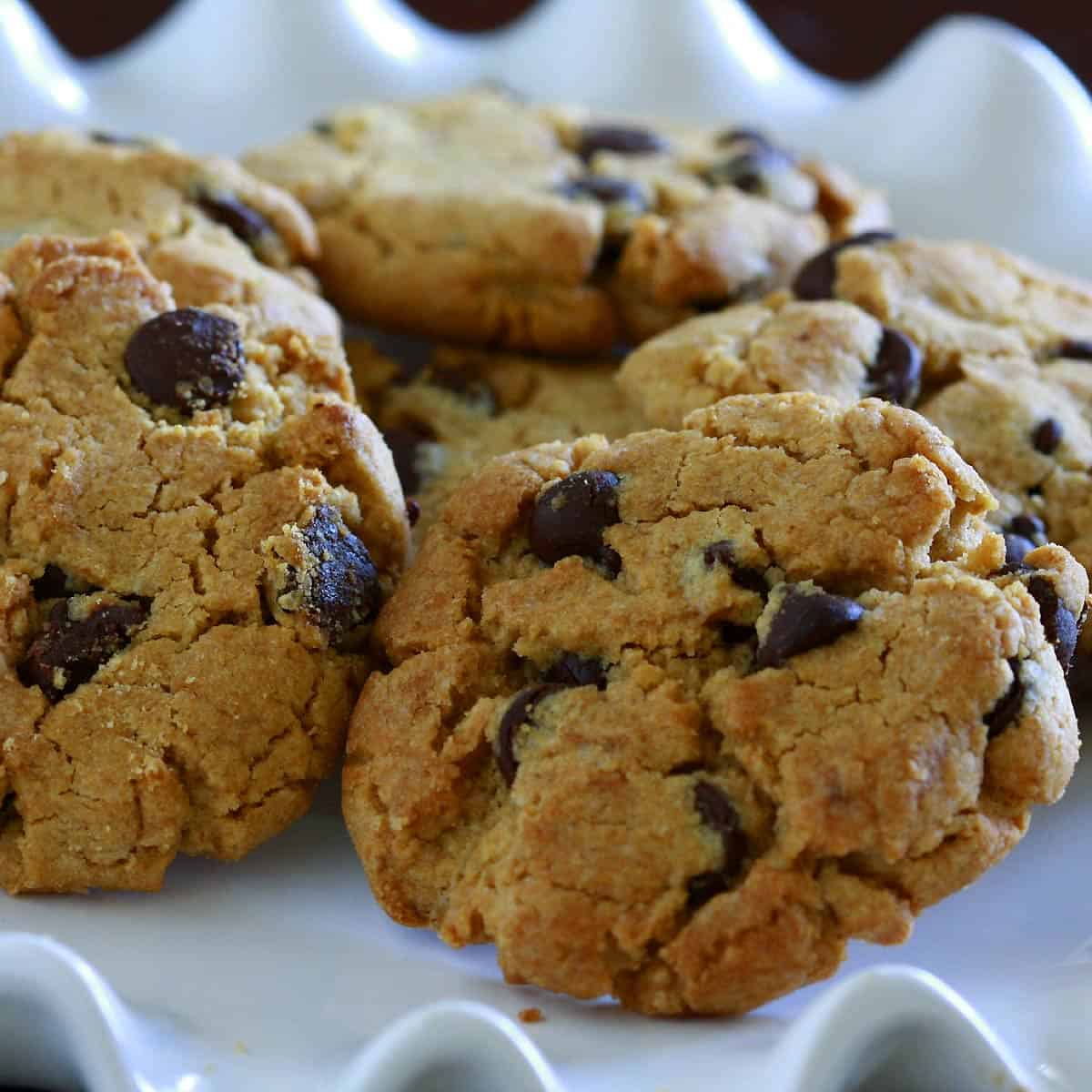 Peanut Butter Chocolate Chip Cookies