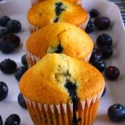 A row of golden-brown blueberry muffins on a white tray, with fresh blueberries scattered around. One muffin has a juicy blueberry bursting through the top.