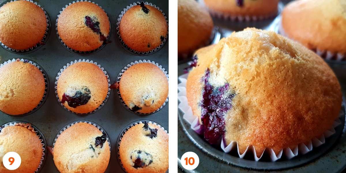 A side-by-side image of freshly baked blueberry muffins. The left side shows a tray of golden-brown muffins with blueberries peeking through. The right side is a close-up of a muffin with a burst blueberry oozing from the side.