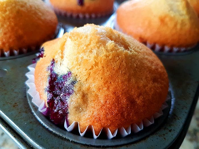 Vegan Blueberry Muffins Fresh From the Oven